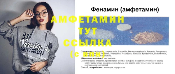 сатива Алзамай
