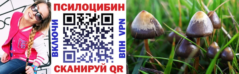 купить   KRAKEN tor  Галлюциногенные грибы Magic Shrooms  Нягань 