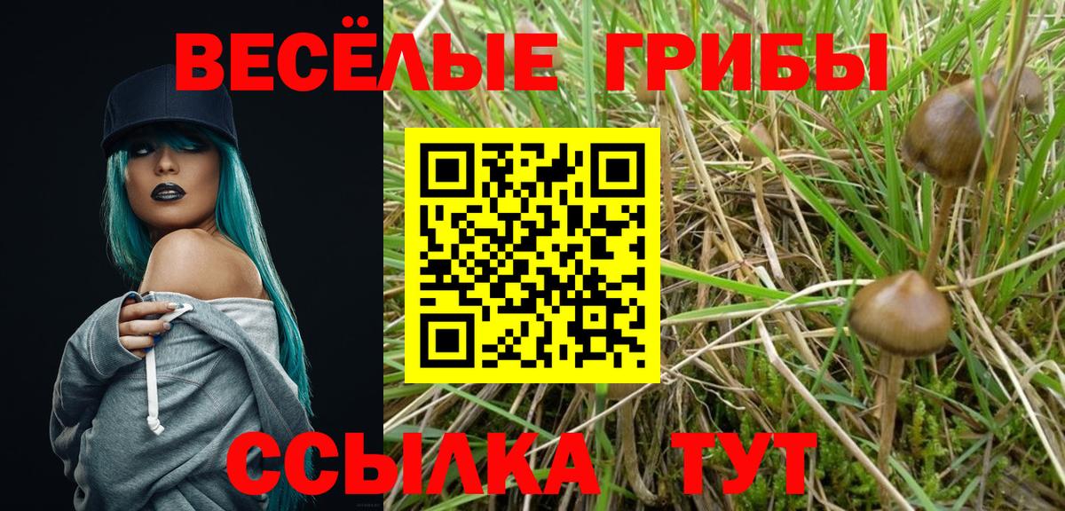 Галлюциногенные грибы GOLDEN TEACHER  Галлюциногенные грибы MAGIC MUSHROOMS  Нягань  Вход с VPN 